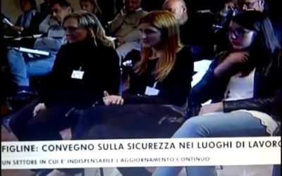 platea 3 platea 3