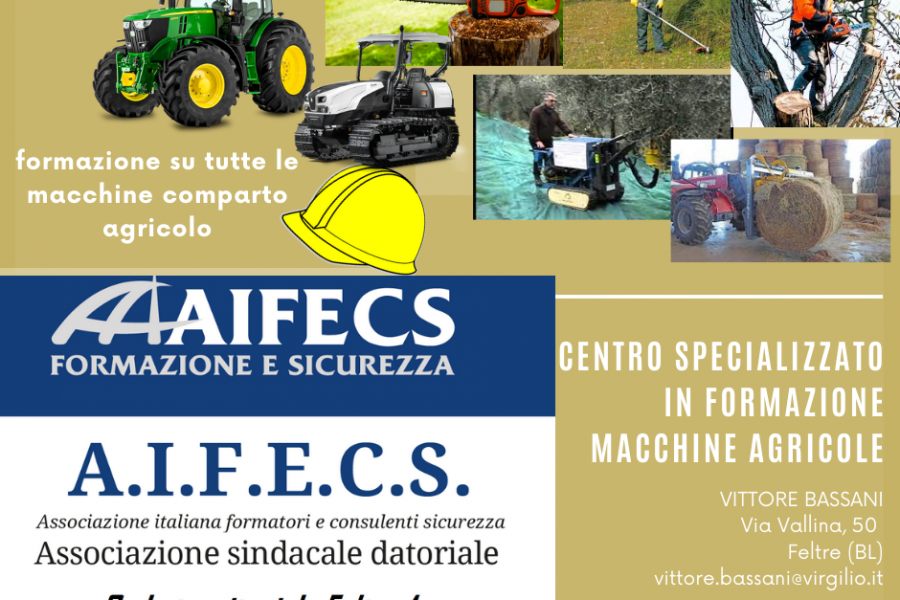 Sede territoriale A.I.F.E.C.S. Feltre 1